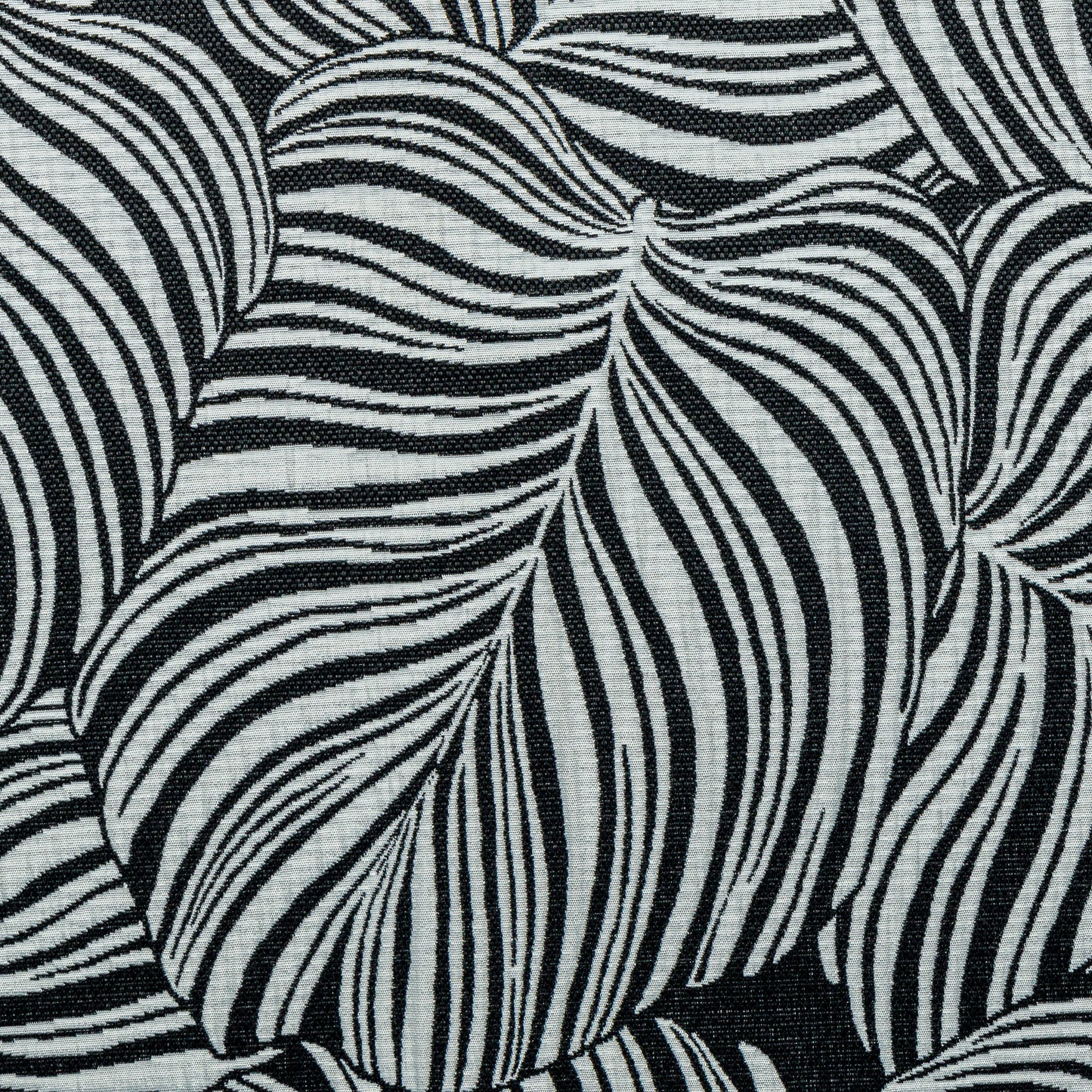 Costela de Adão PB + Estrutura Areia