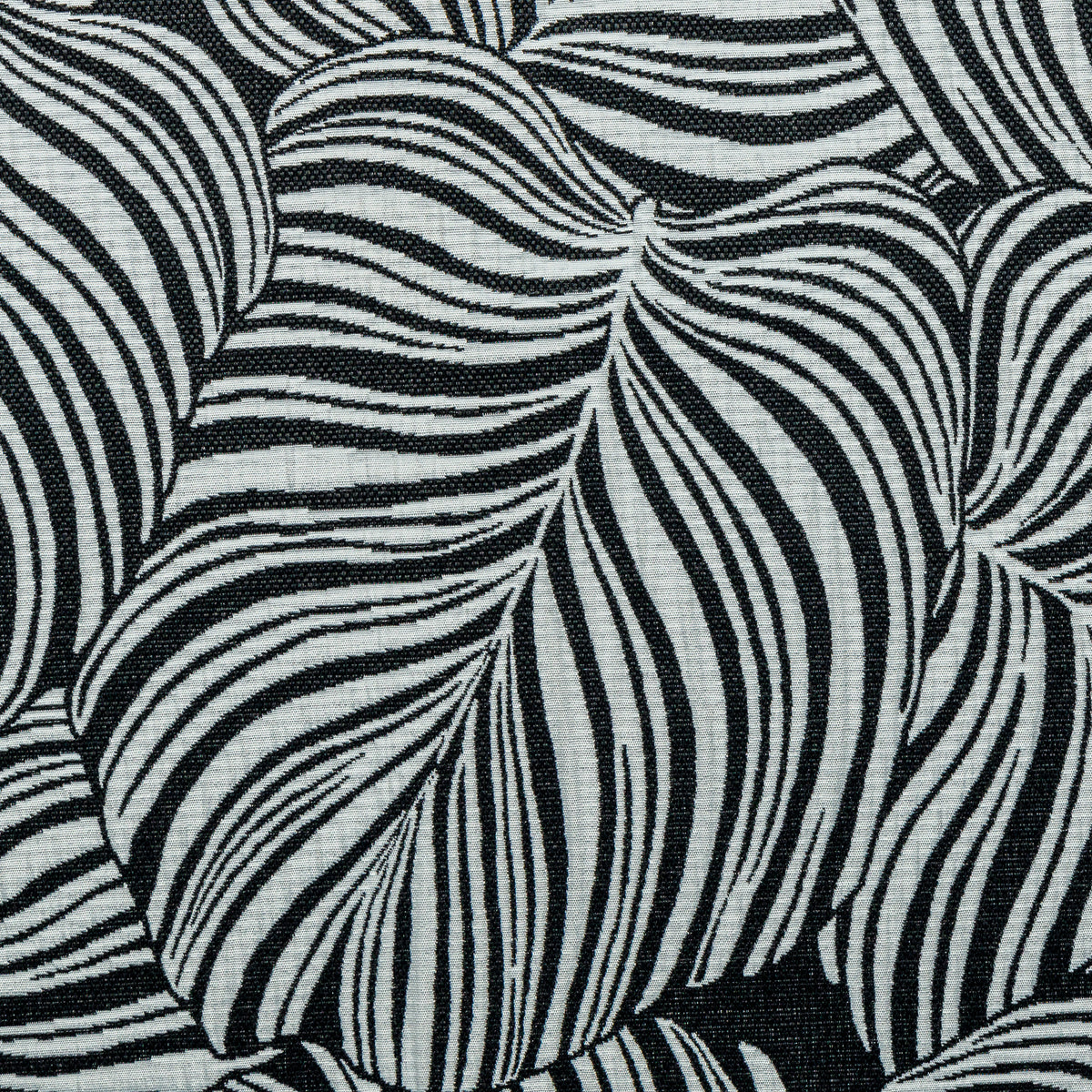 Folhagem - Costela de Adão PB