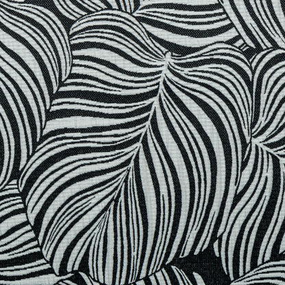 Costela de Adão PB + Estrutura Grafite