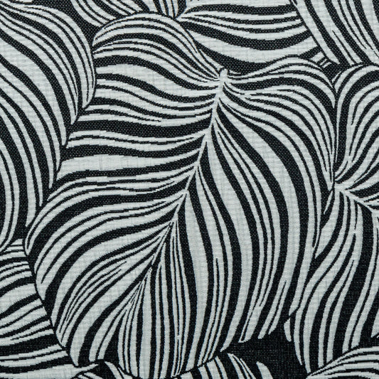 Folhagem - Costela de Adão PB