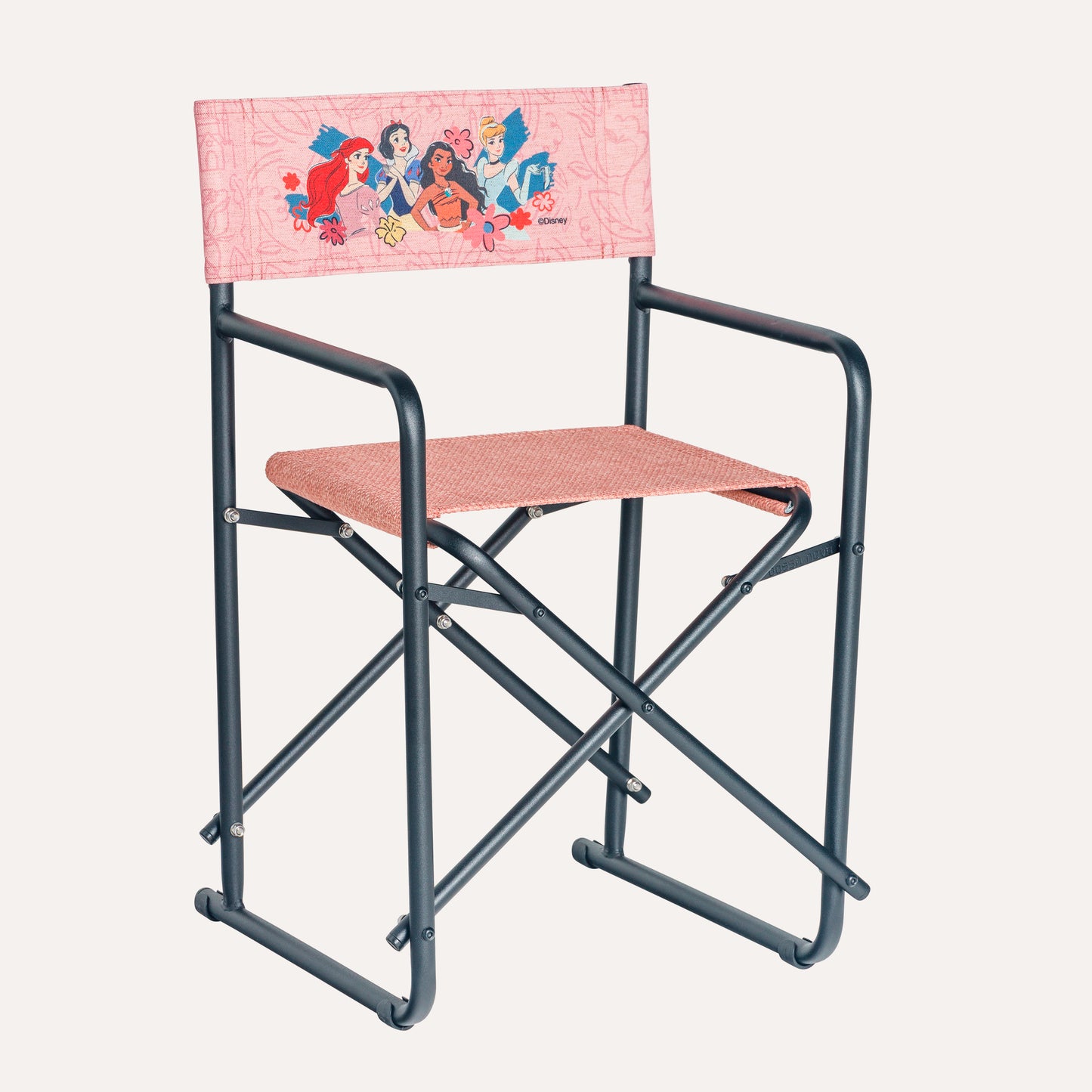 Princesas Rosa Disney + Estrutura Preta